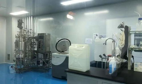 全市觀摩聚焦高新，兩大計算機(jī)技術(shù)開發(fā)項(xiàng)目亮點(diǎn)紛呈